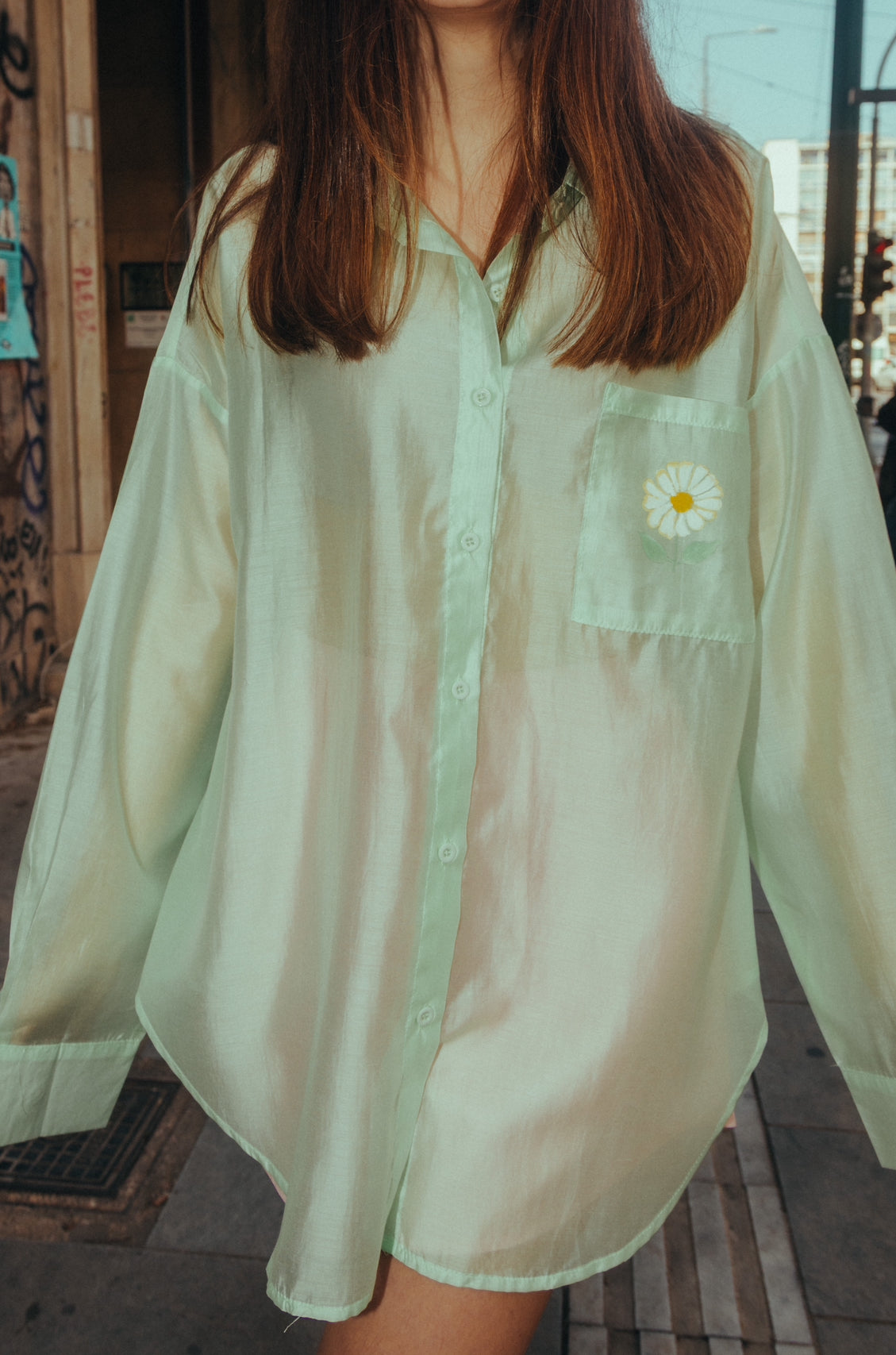Painted daisy in mint