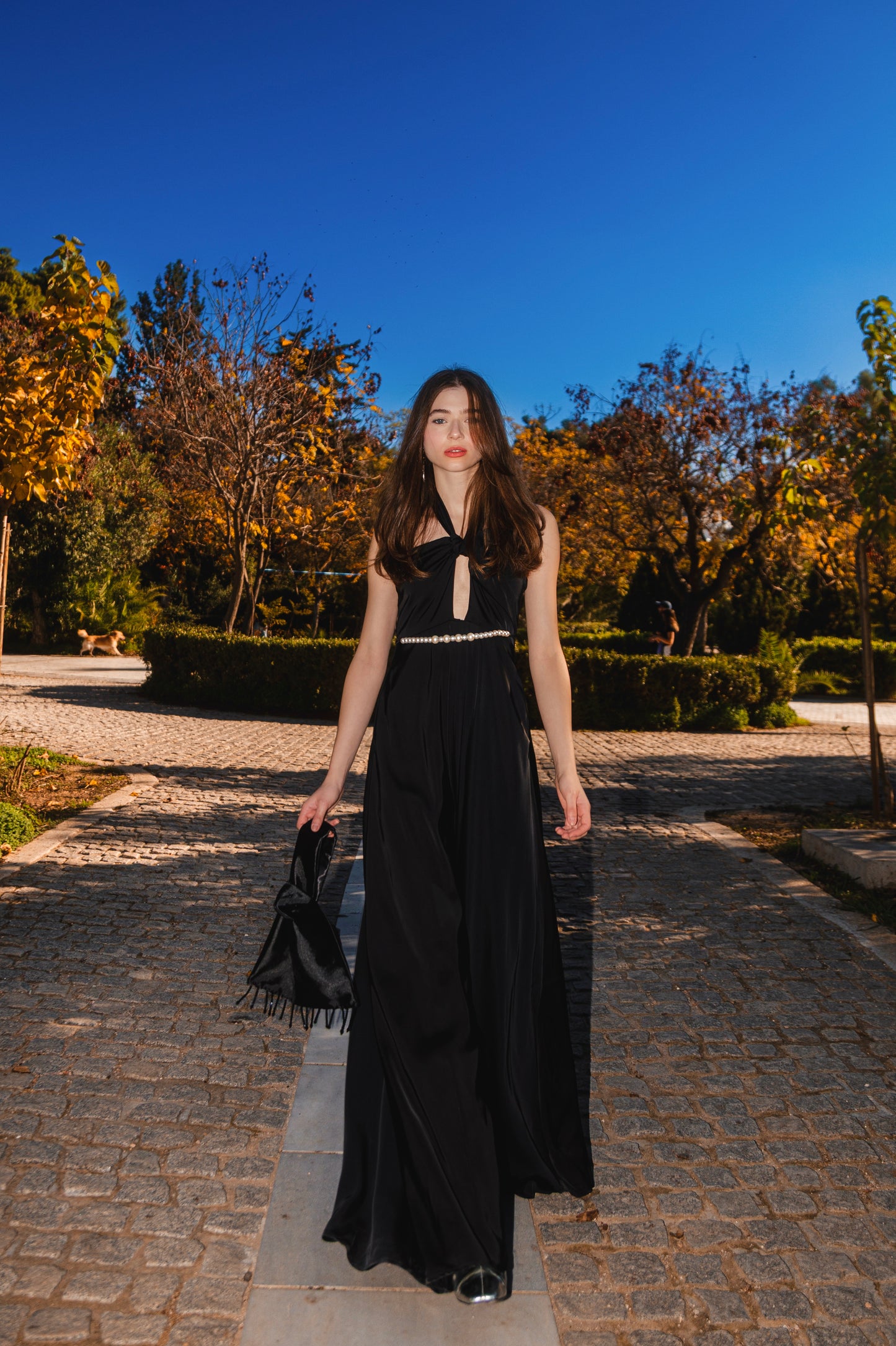 Christmas Rose dress in black