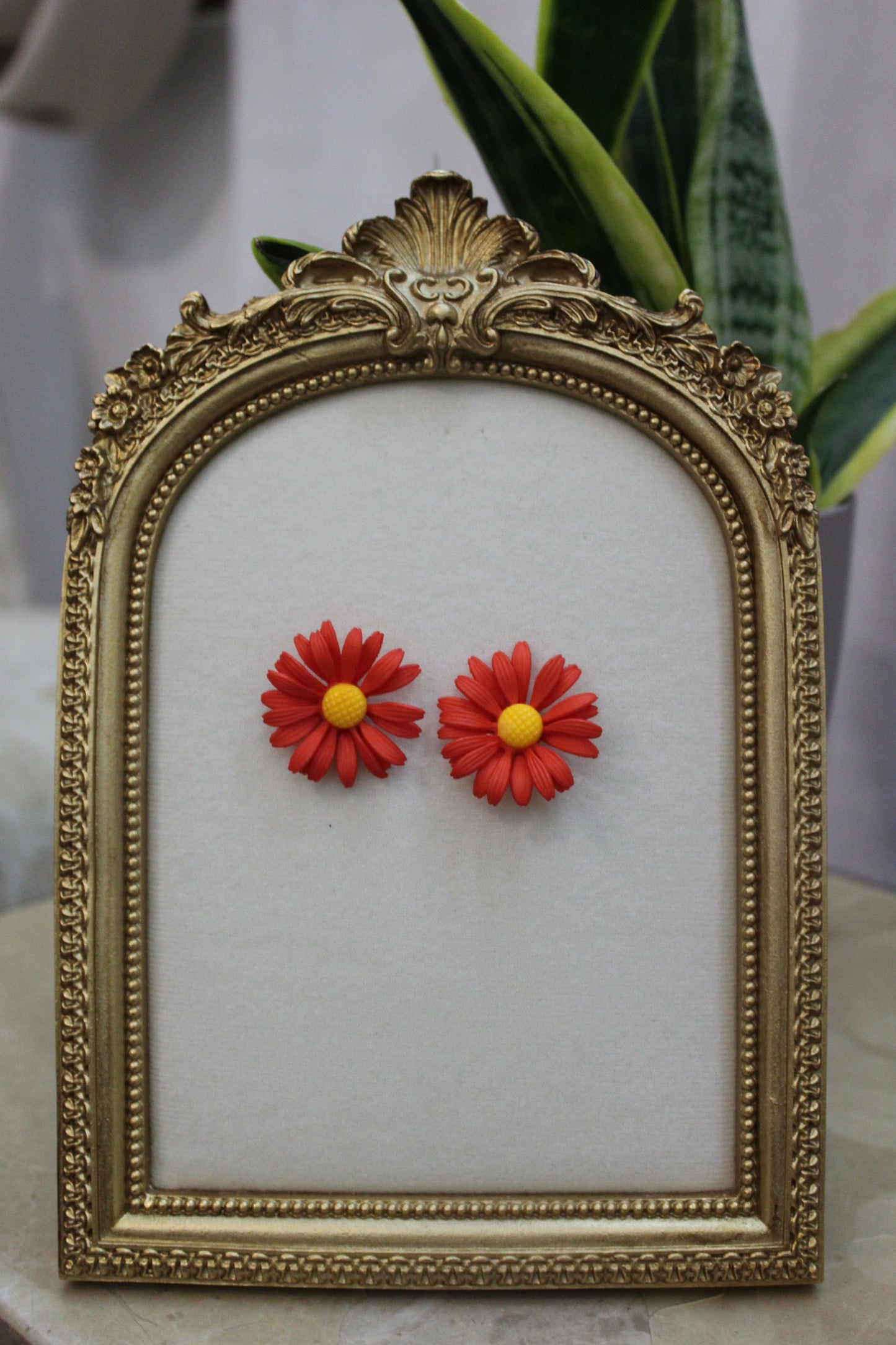 Red daisy