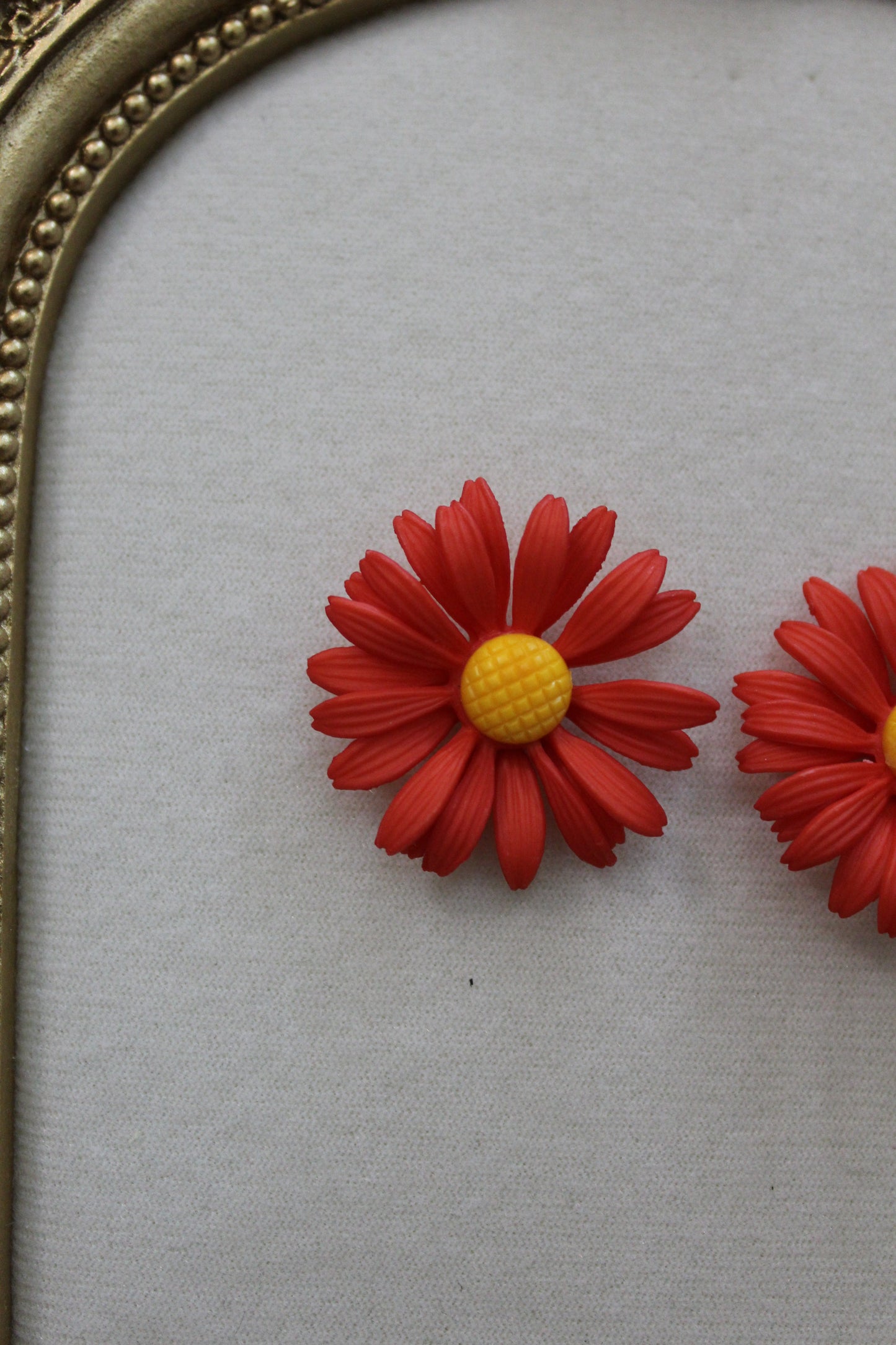 Red daisy