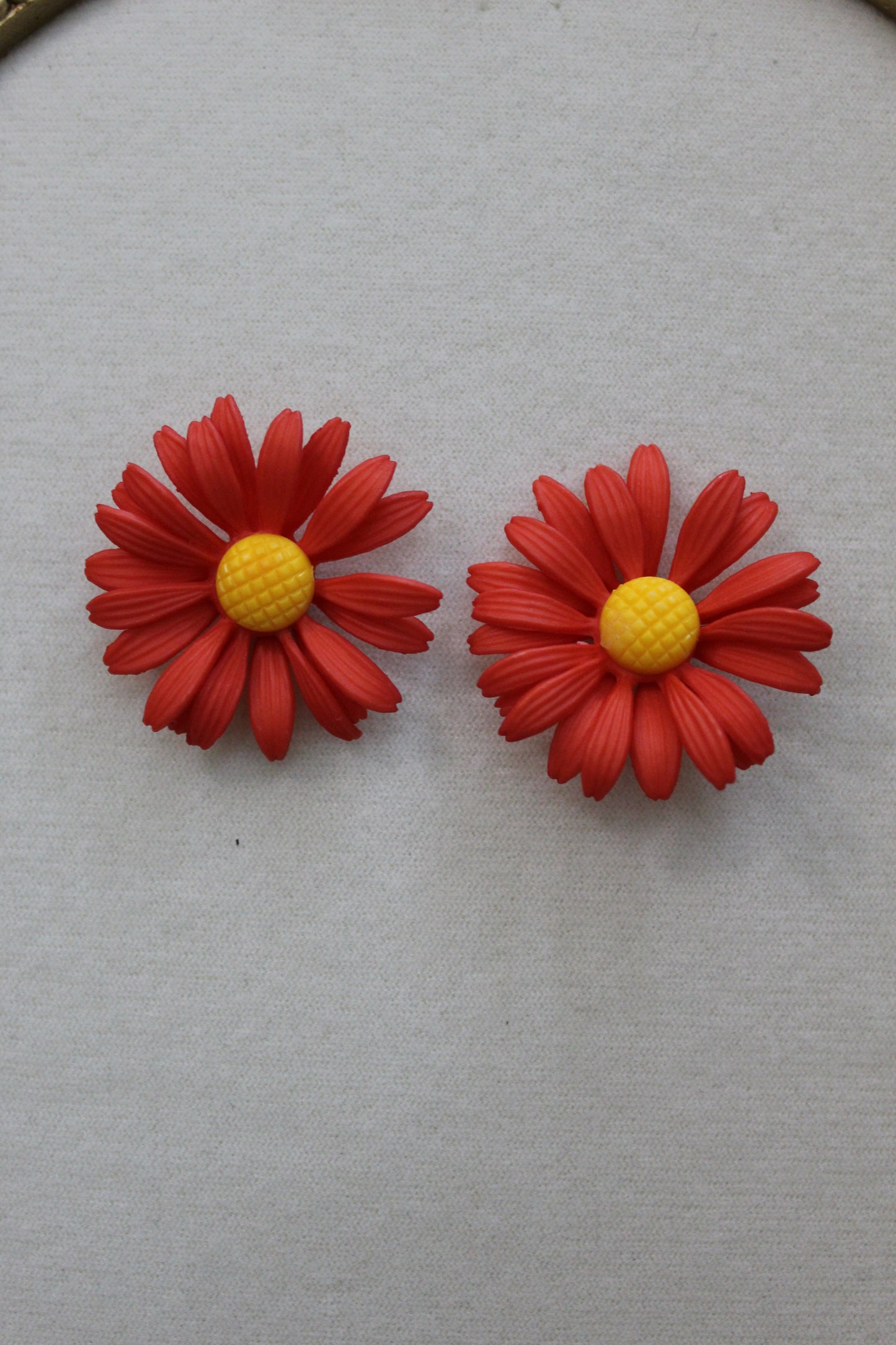 Red daisy